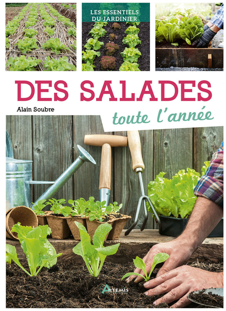 SALADES TOUTE L'ANNEE (DES) - SOUBRE ALAIN - ARTEMIS