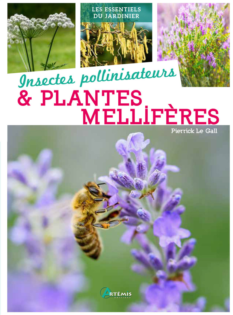 INSECTES POLLINISATEURS ET PLANTES MELLIFERES - LE GALL PIERRICK - ARTEMIS