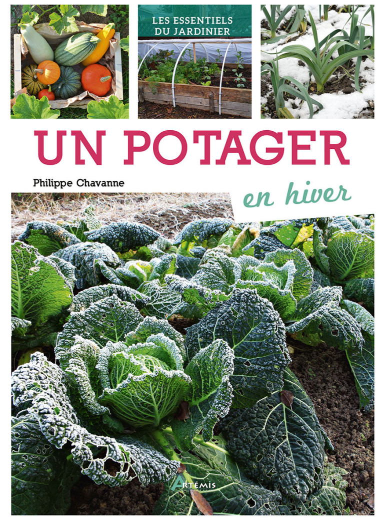 POTAGER EN HIVER (UN) - CHAVANNE PHILIPPE - ARTEMIS