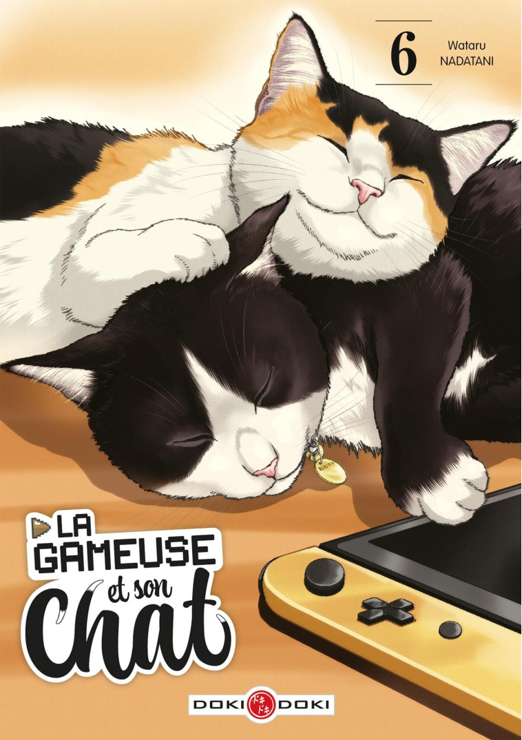 GAMEUSE ET SON CHAT (LA) - T06 - LA GAMEUSE ET SON CHAT - VOL. 06 - NADATANI WATARU - BAMBOO