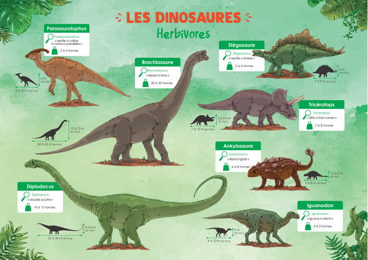 LES DINOSAURES - COLLECTIF - RUE DES ECOLES