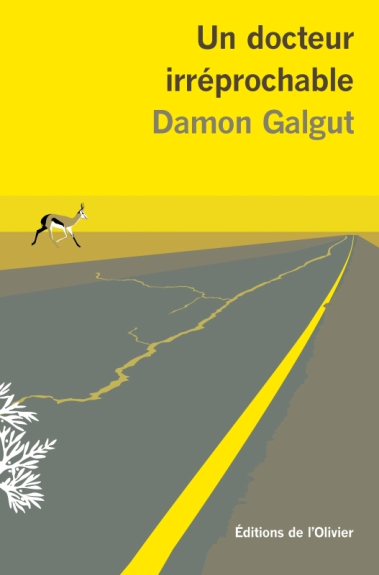 UN DOCTEUR IRREPROCHABLE - GALGUT DAMON - OLIVIER