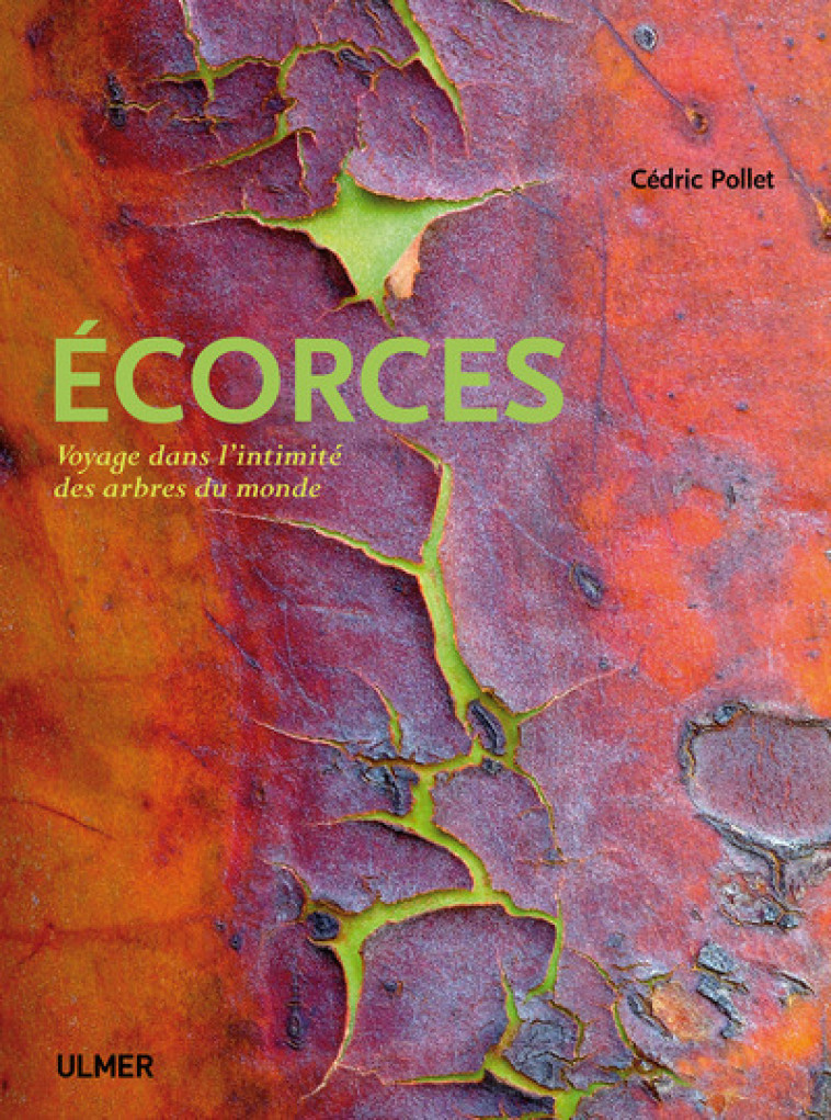 ECORCES VOYAGE DANS L'INTIMITÉ DES ARBRES DU MONDE - POLLET CEDRIC - ULMER