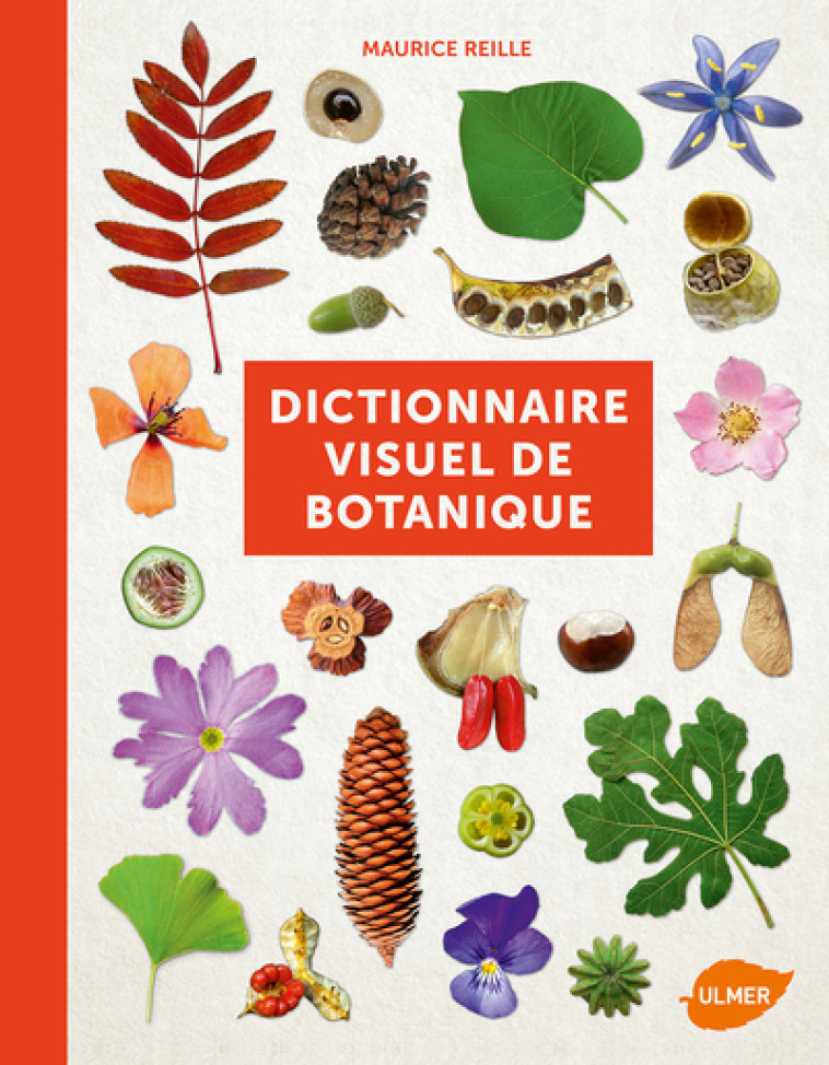 DICTIONNAIRE VISUEL DE BOTANIQUE - REILLE MAURICE - ULMER