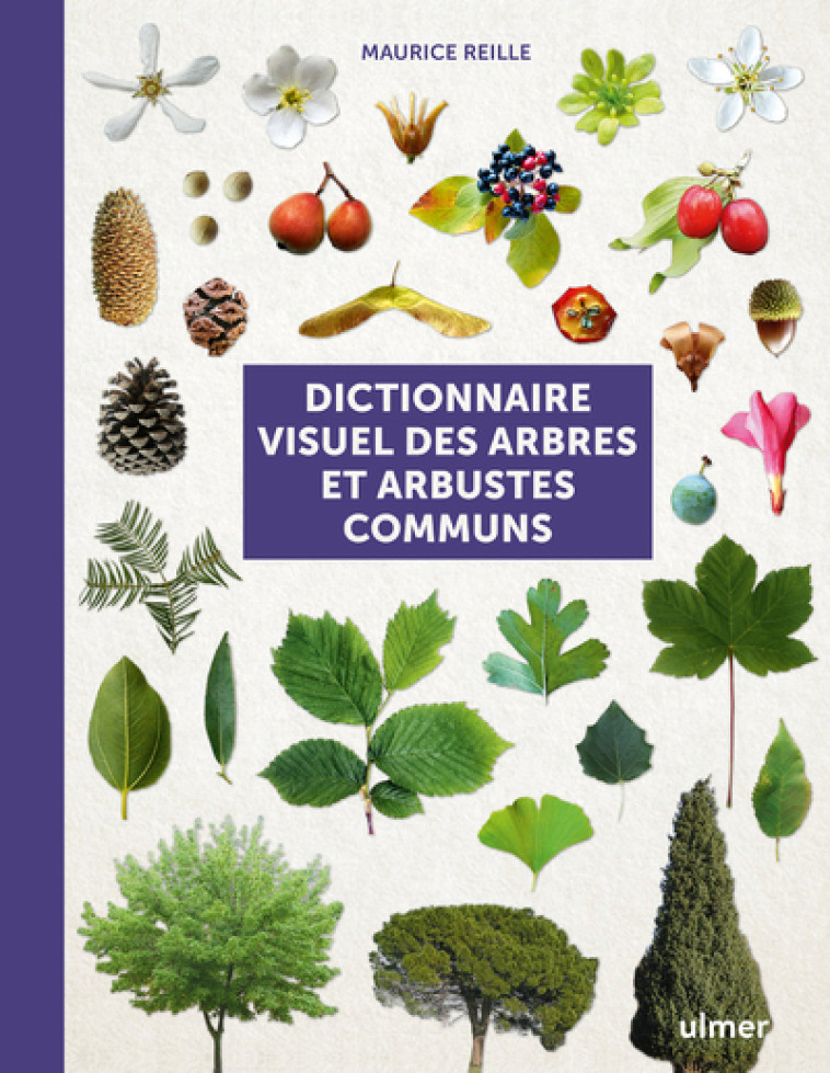 DICTIONNAIRE VISUEL DES ARBRES ET ARBUSTES COMMUNS - REILLE MAURICE - ULMER