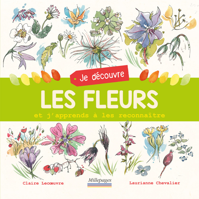 JE DECOUVRE LES FLEURS - LECOEUVRE - MILLEPAGES