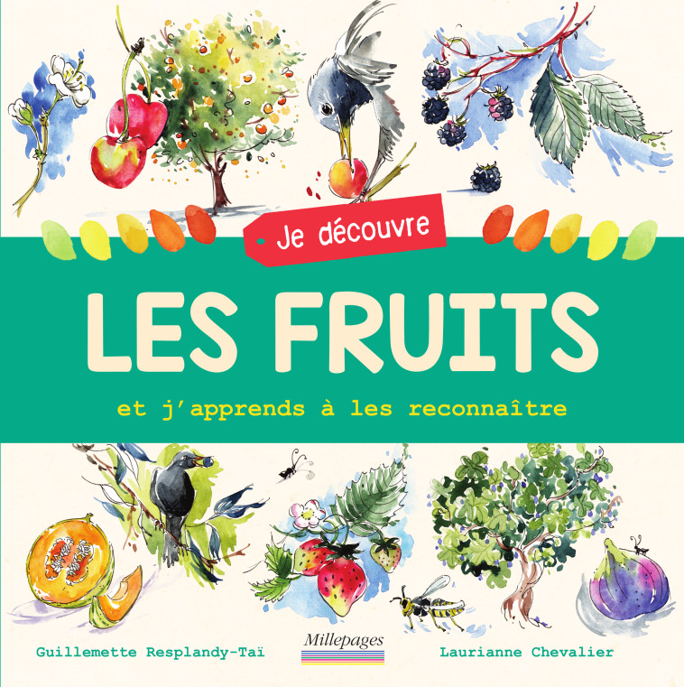 JE DECOUVRE LES FRUITS ET J'APPRENDS A LE S RECONNAITRE - CHEVALLIER - MILLEPAGES