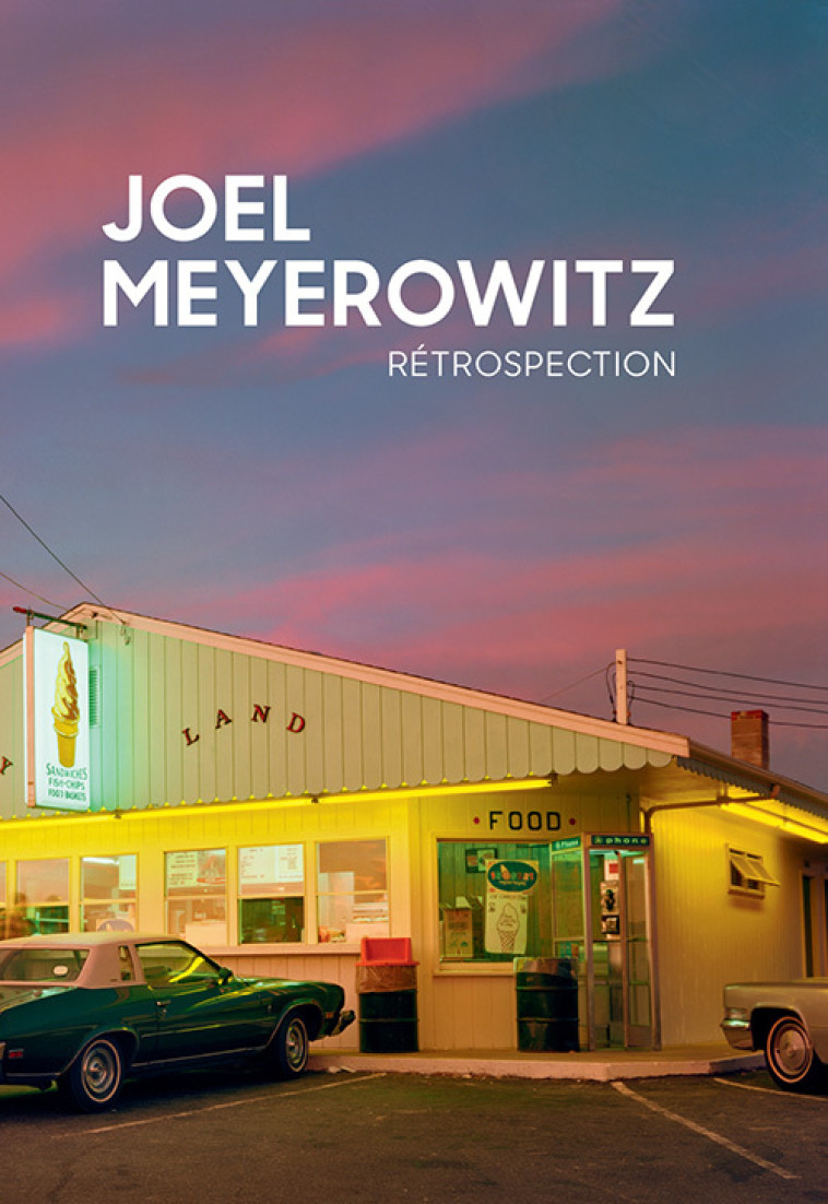 RETROSPECTION - MEYEROWITZ JOEL - TEXTUEL