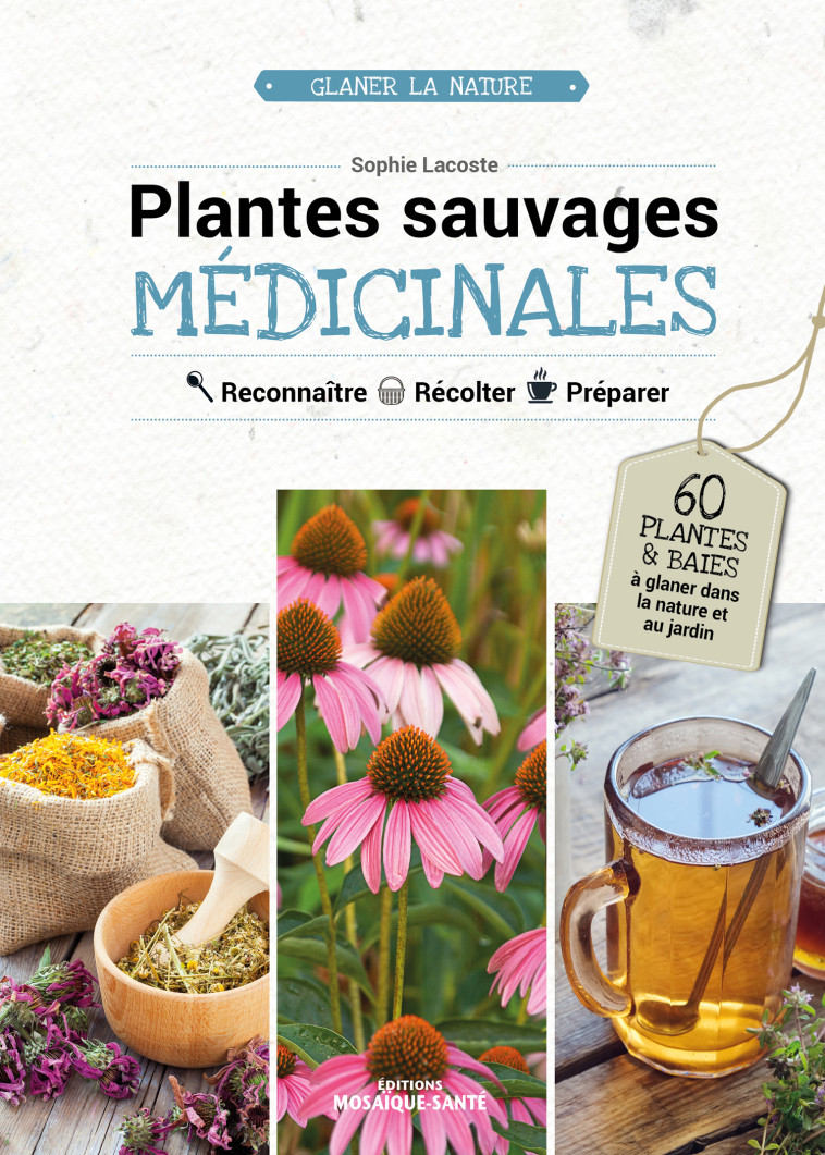 PLANTES SAUVAGES MEDICINALES - RECONNAITRE, RECOLTER, PREPARER - LACOSTE SOPHIE - MOSAIQUE SANTE