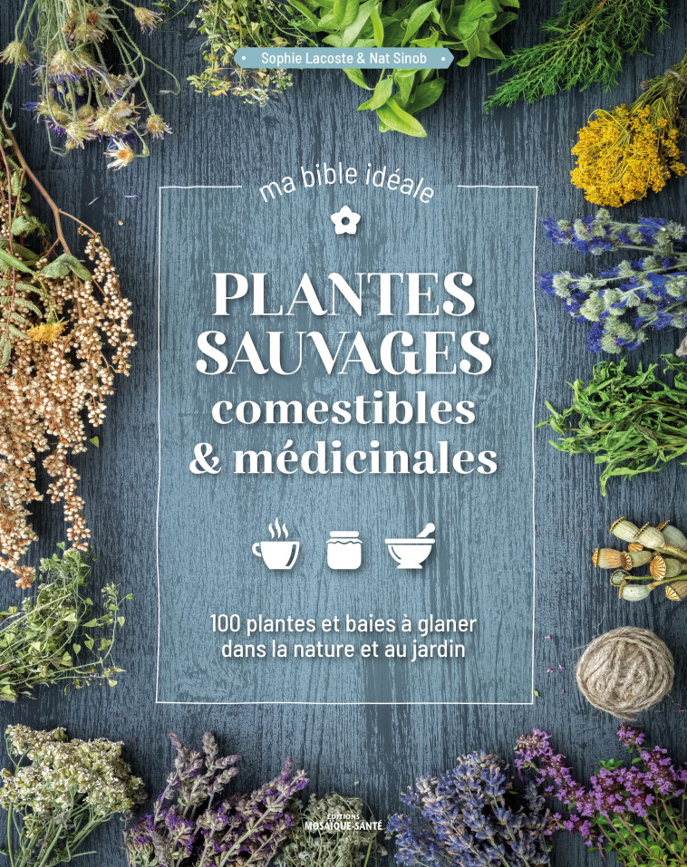 PLANTES SAUVAGES COMESTIBLES & MEDICINALES, MA BIBLE IDEALE - 120 PLANTES & BAIES A GLANER DANS LA N - LACOSTE/SINOB - MOSAIQUE SANTE