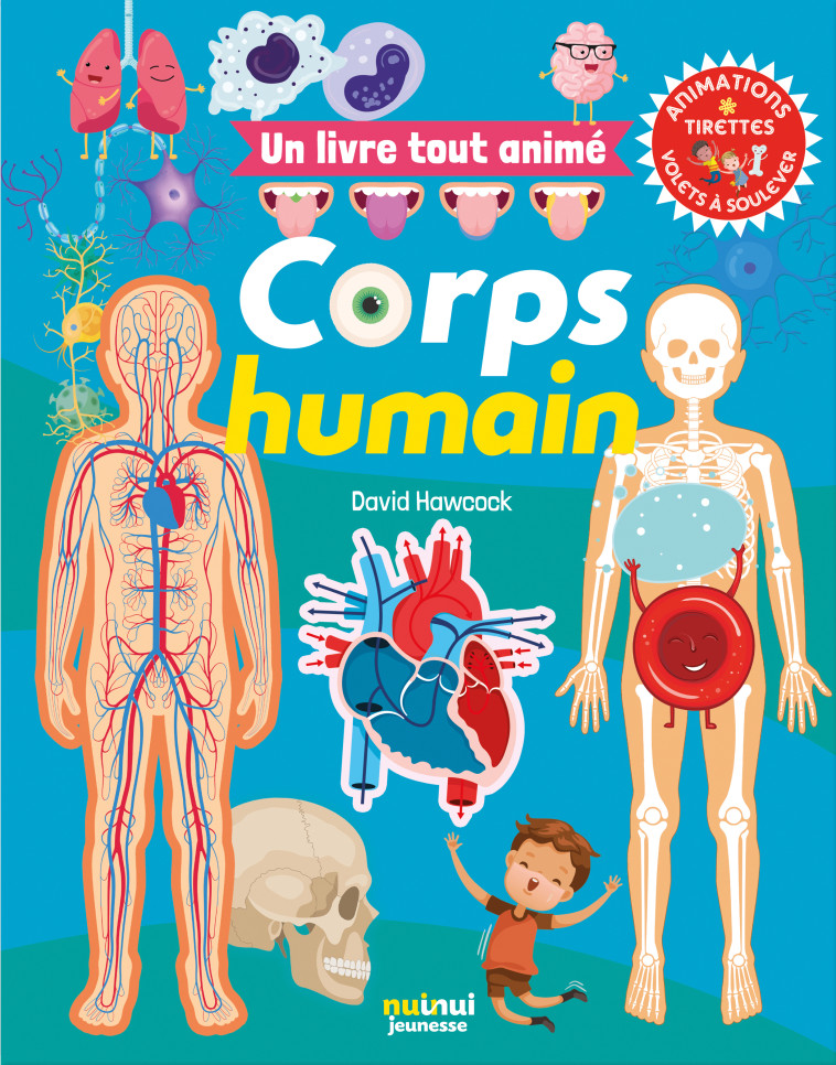 UN LIVRE TOUT ANIME - CORPS HUMAIN - HAWCOCK DAVID - NUINUI JEUNESSE