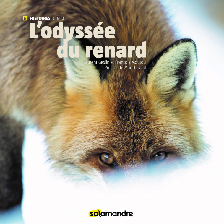 L'ODYSSEE DU RENARD - GESLIN LAURENT - LA SALAMANDRE