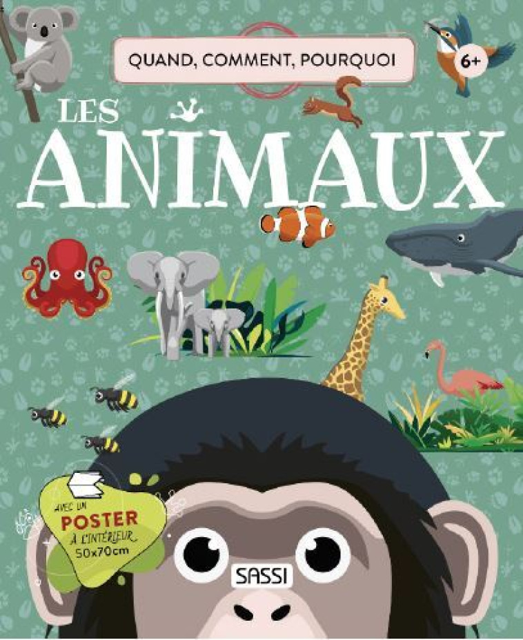 LES ANIMAUX - QUOI, COMMENT, POURQUOI - TOME/PESAVENTO - SASSI