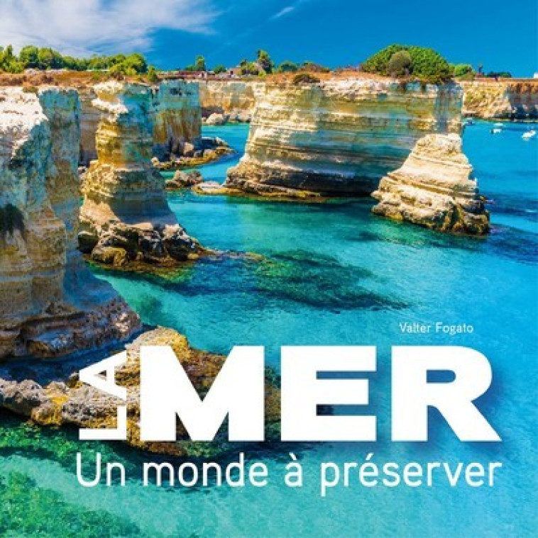 LA MER : UN MONDE A PRESERVER - FOGATO VALTER - WHITE STAR