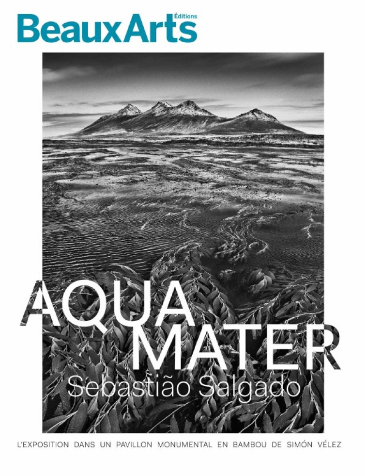 AQUA MATER, 50 PHOTOGRAPHIES SUR L'EAU - A PARIS LA DEFENSE - COLLECTIF - BEAUX ARTS ED