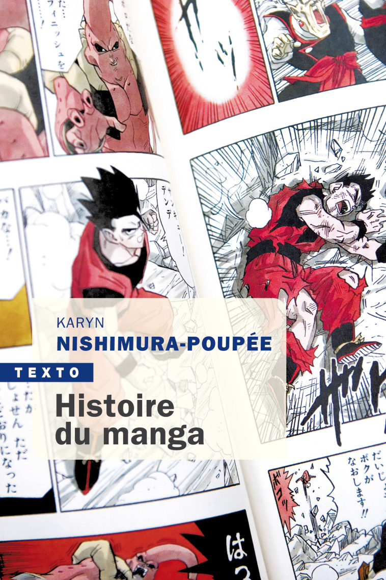 HISTOIRE DU MANGA - NISHIMURA-POUPEE K. - TALLANDIER