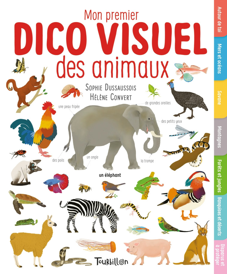 MON PREMIER DICO VISUEL DES ANIMAUX - DUSSAUSSOIS/CONVERT - TOURBILLON