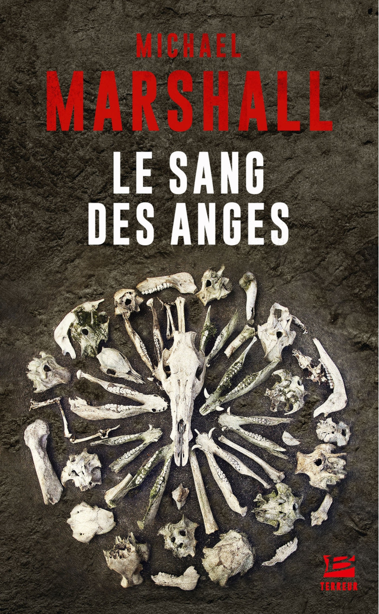 LE SANG DES ANGES - MARSHALL MICHAEL - BRAGELONNE