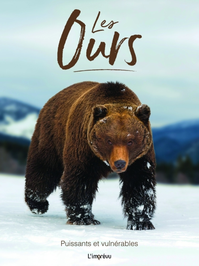 LES OURS. PUISSANTS ET VULNERABLES - JACKSON TOM - L IMPREVU