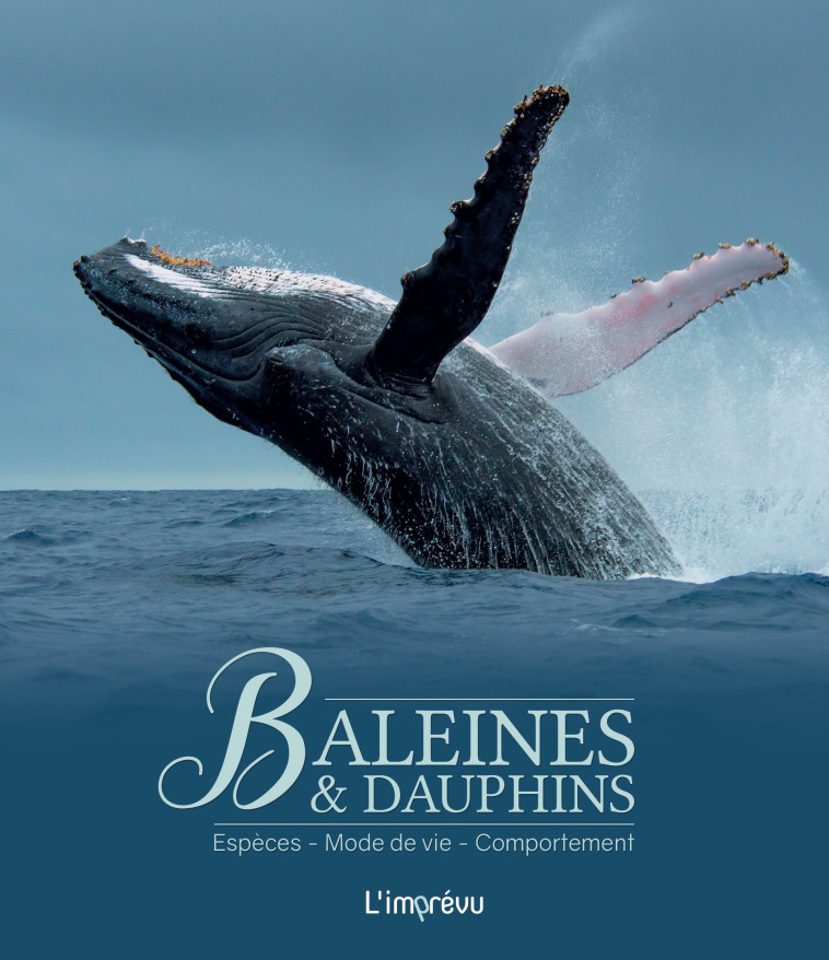 BALEINES ET DAUPHINS. ESPECES, MODE DE VIE, COMPORTEMENT - RUDIGER WANDREY - L IMPREVU