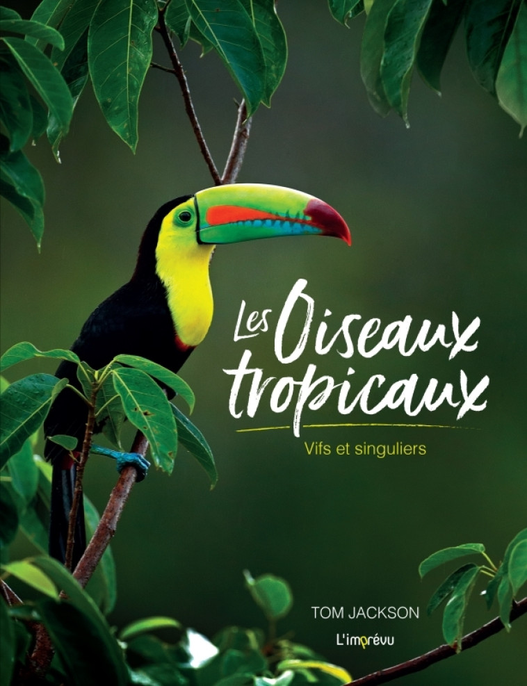 LES OISEAUX TROPICAUX. VIFS ET SINGULIERS - JACKSON TOM - L IMPREVU