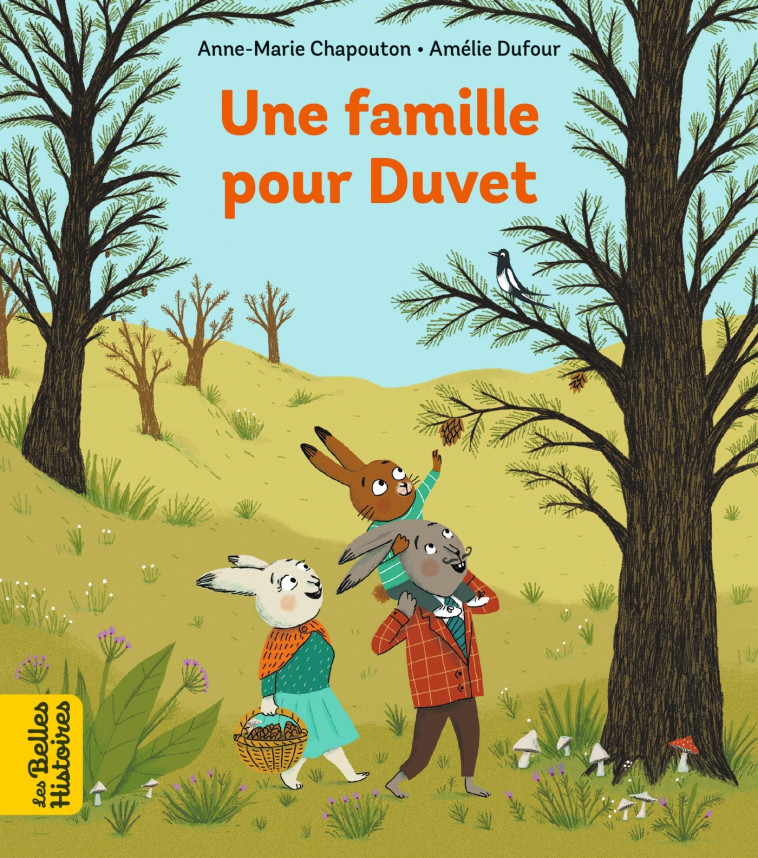 UNE FAMILLE POUR DUVET - CHAPOUTON/DUFOUR - BAYARD JEUNESSE