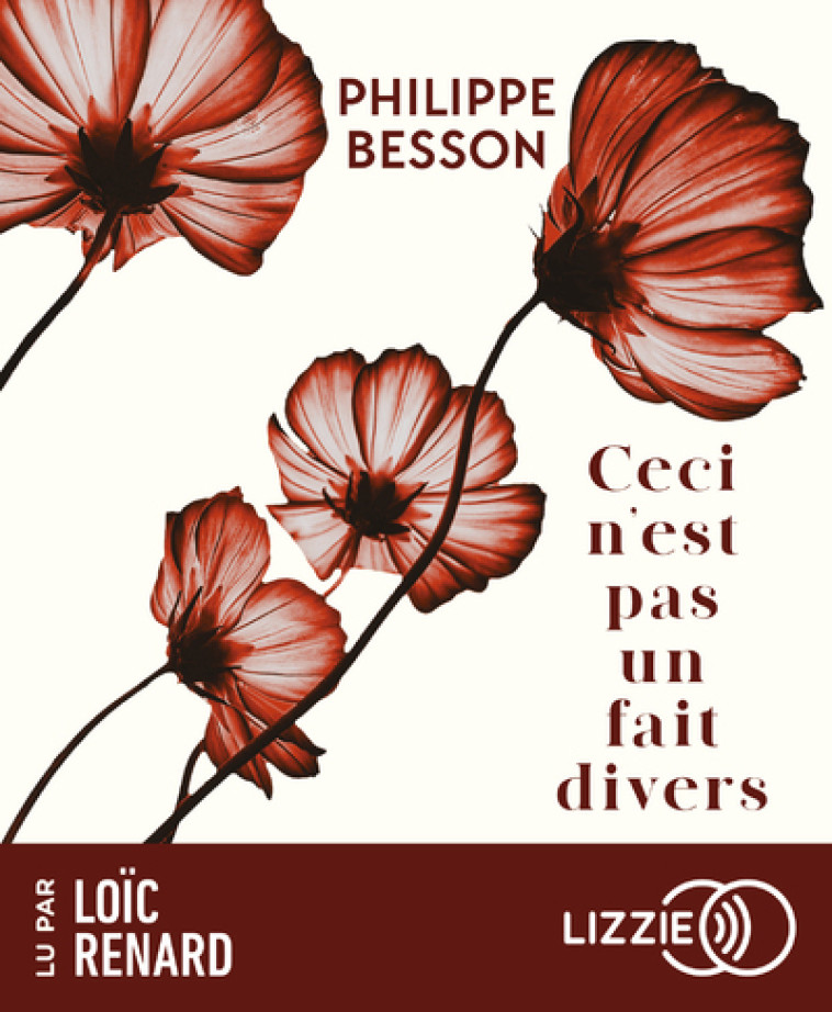 CECI N'EST PAS UN FAIT DIVERS - BESSON PHILIPPE - LIZZIE