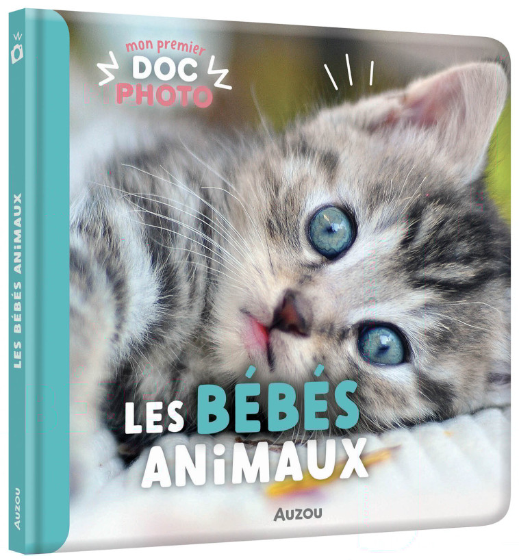 LES BEBES ANIMAUX - XXX - AUZOU