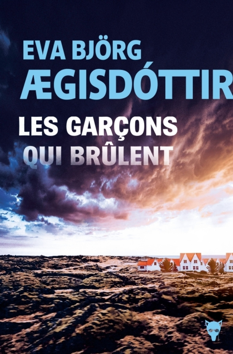 LES GARCONS QUI BRULENT - BJORG AEGISDOTTIR EV - MARTINIERE BL