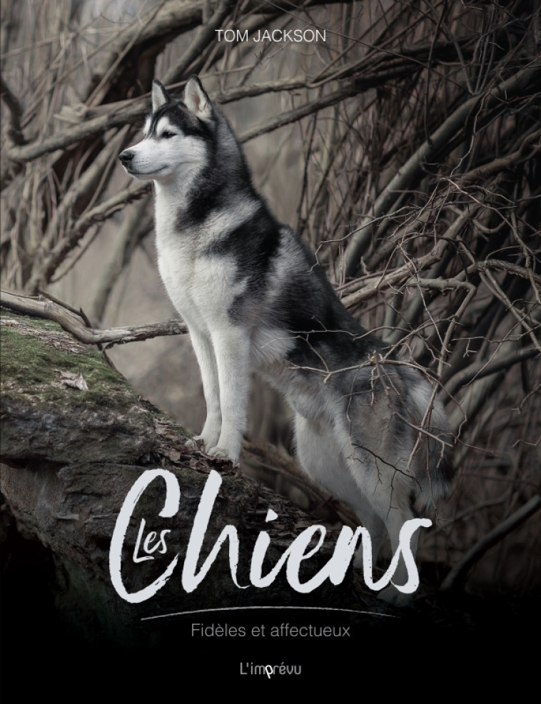 Les chiens - Tom Jackson - L IMPREVU