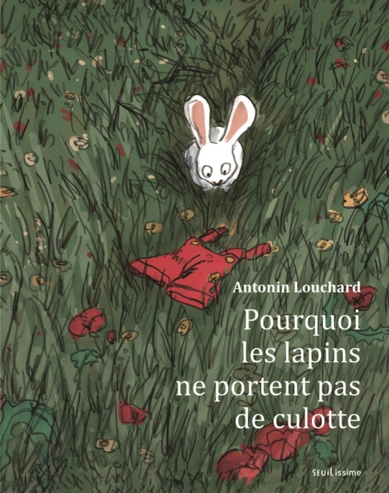 Pourquoi les lapins ne portent pas de culotte - Antonin Louchard - SEUIL JEUNESSE