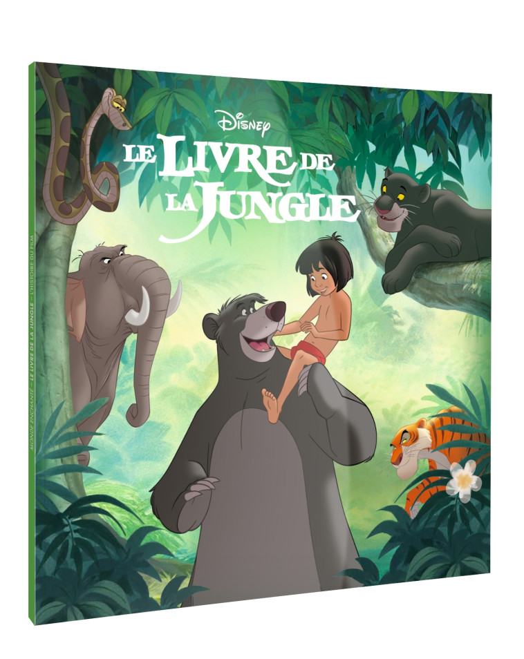 LE LIVRE DE LA JUNGLE - Monde Enchanté -  L'histoire du film - Disney - XXX - DISNEY HACHETTE