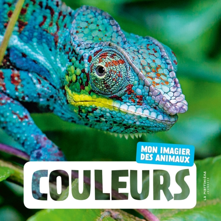 Couleurs NE -  Naturagency - MARTINIERE J