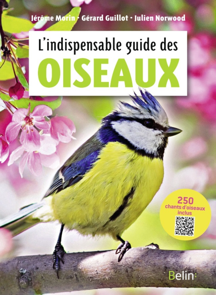 L'indispensable guide des oiseaux - Gérard Guillot, Julien Norwood, Guillaume Eyssartier, Gérard Guillot, Julien Norwood, Guillaume Eyssartier - BELIN