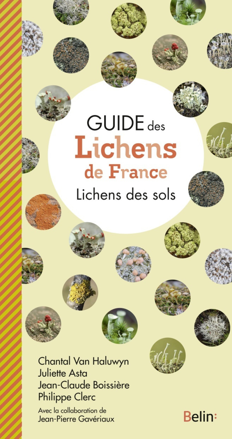 Guide des lichens de France - Lichens des sols - Jean-Claude Boissiere, Juliette Asta, Chantal Van Haluwyn, Guillaume Eyssartier - BELIN