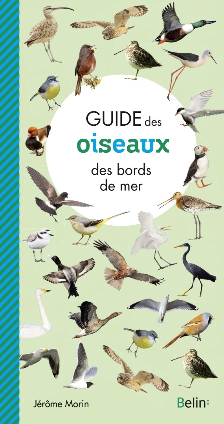 Guide des oiseaux des bords de mer - Guillaume Eyssartier - BELIN