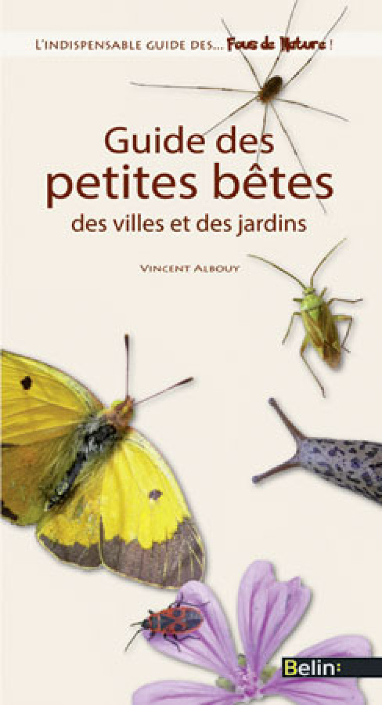 Guide des petites bêtes des villes et des jardins - Vincent Albouy, Guillaume Eyssartier, Vincent Albouy, Guillaume Eyssartier - BELIN