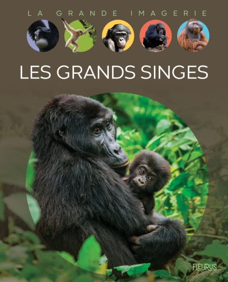 Les grands singes - Emmanuelle Grundmann - FLEURUS