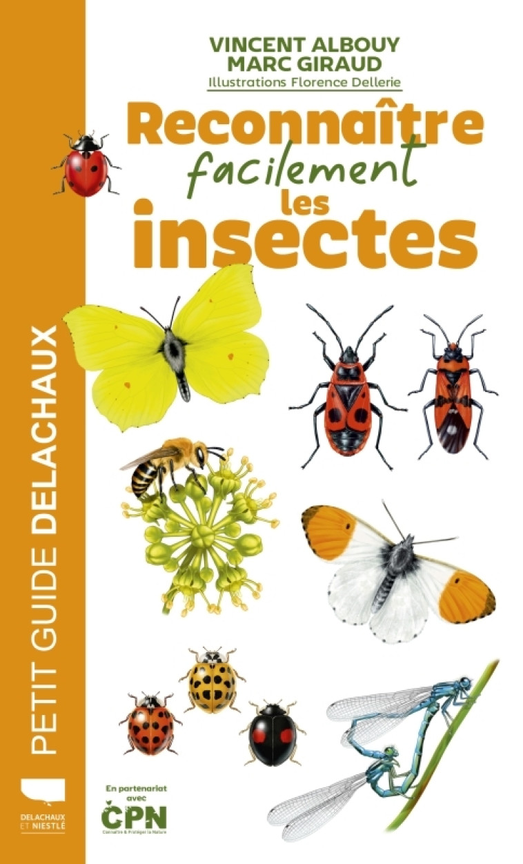 Reconnaître facilement les insectes - Vincent Albouy, Florence DELLERIE, Marc Giraud, Vincent Albouy, Florence DELLERIE, Marc Giraud - DELACHAUX